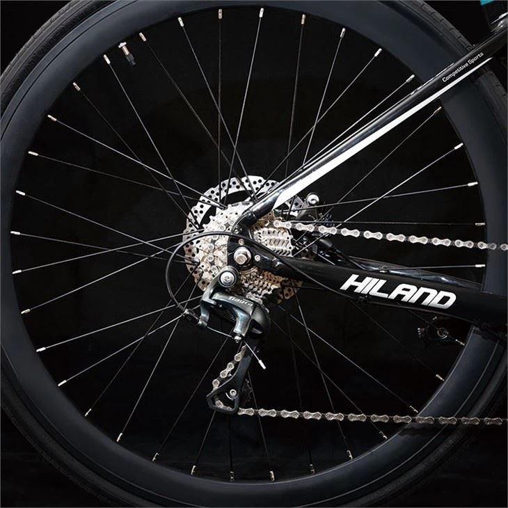 cheap Electric Road Bike