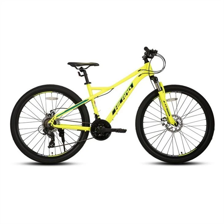 Hardtail Mountain Bike in China